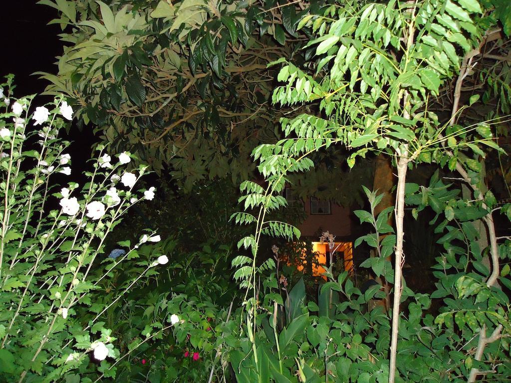 Quinta Do Vale Do Monte Guest House Viana do Castelo Exterior photo
