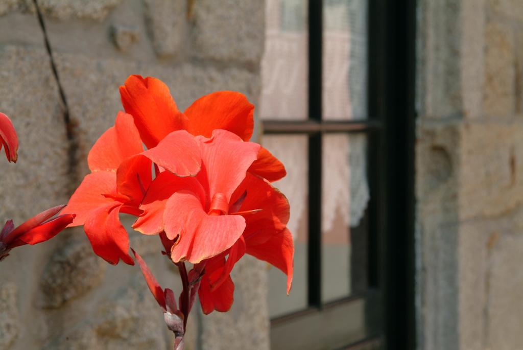 Quinta Do Vale Do Monte Guest House Viana do Castelo Exterior photo